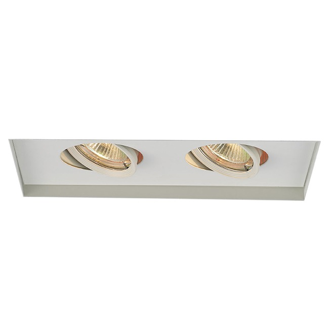 Low Voltage 2-Light Multiple Spot Invisible Trim by WAC Lighting