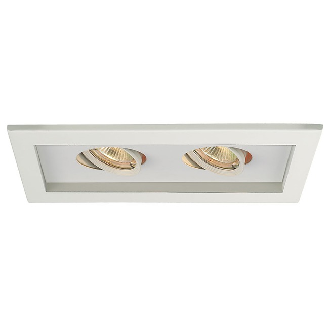 Low Voltage 2-Light Multiple Spot Flanged Trim by WAC Lighting