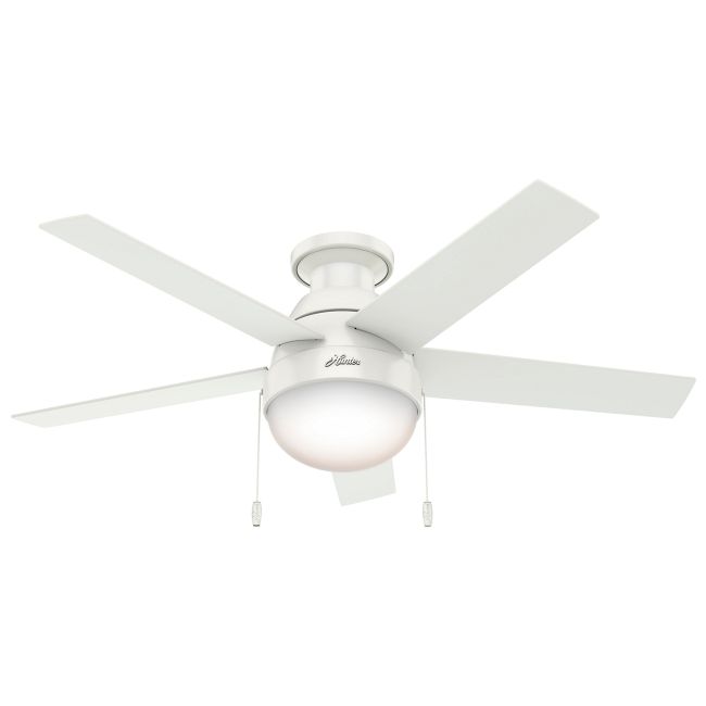 Modern Ceiling Fan with Light by Hunter Fan