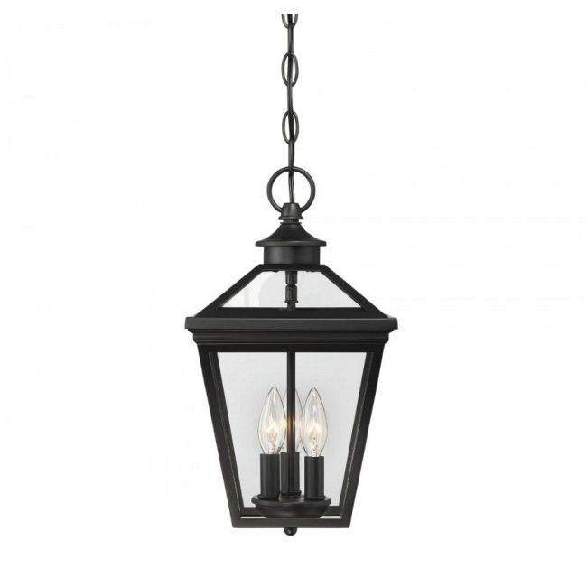 Ellijay Outdoor Pendant by Savoy House by Savoy House