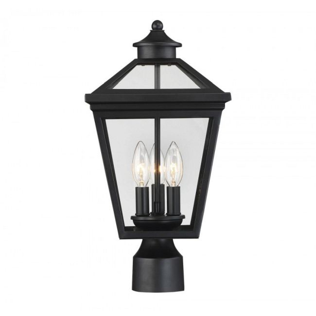 Ellijay Outdoor Post Light by Savoy House