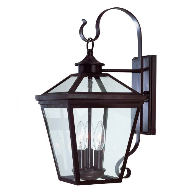 Ellijay Outdoor Hanging Wall Sconce by Savoy House