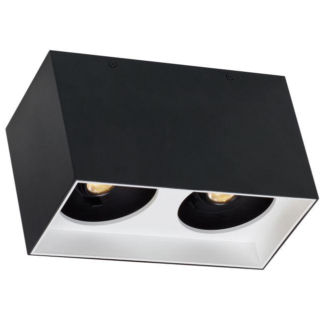 Exo Dual Ceiling Light by Visual Comfort Architectural
