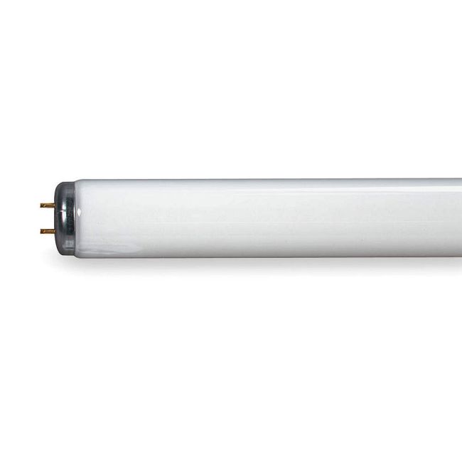 T12 Med Bi-Pin Linear Fluorescent 30W 3500K 120V by Raise Lighting