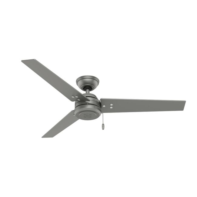 Cassius Indoor/Outdoor Ceiling Fan by Hunter Fan