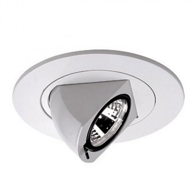 Low Voltage 4IN RD Premium Directional Spot Trim by WAC Lighting