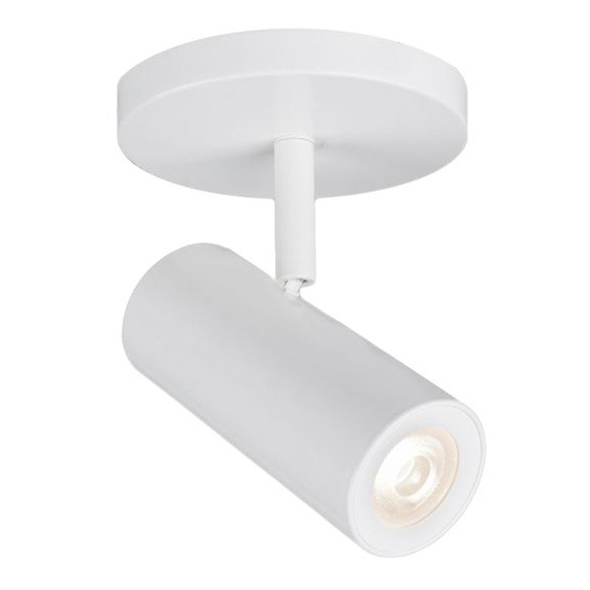 Silo X10 Monopoint by WAC Lighting