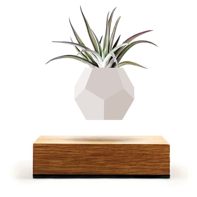 LYFE Planter by FLYTE