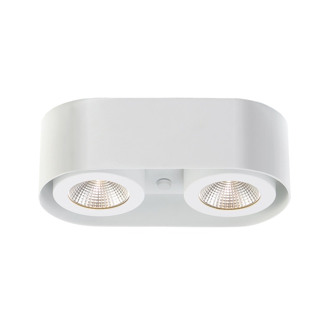 Nymark Wall / Ceiling Light by Eurofase