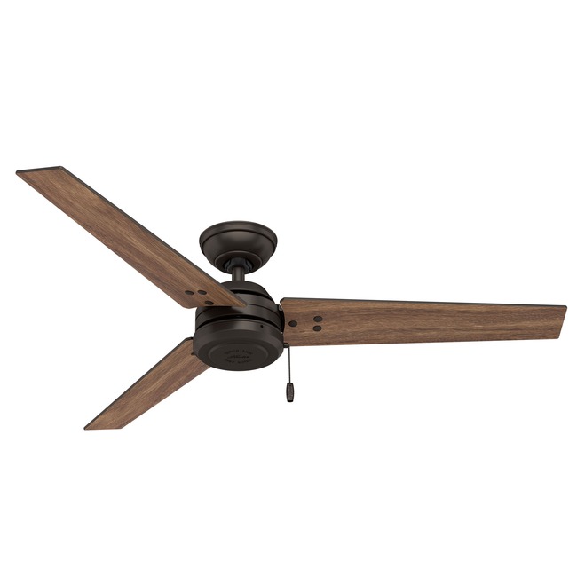 Cassius Indoor/Outdoor Ceiling Fan by Hunter Fan