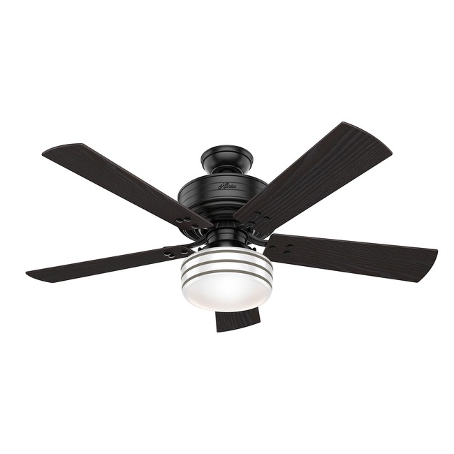 Cedar Key Indoor/Outdoor Ceiling Fan with Light by Hunter Fan