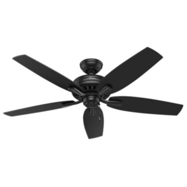 Newsome Outdoor Ceiling Fan by Hunter Fan