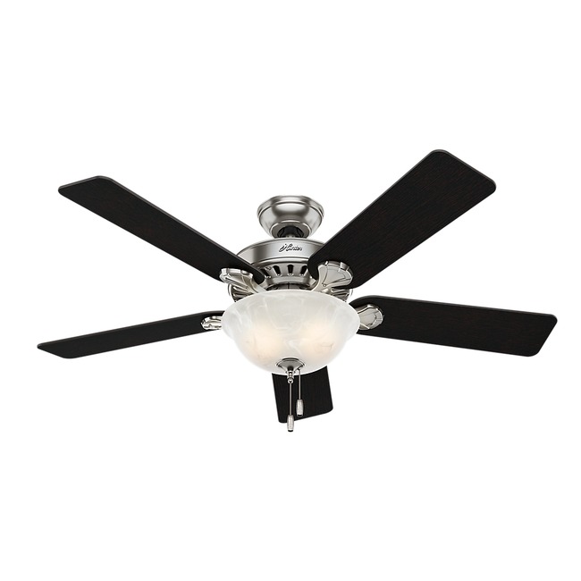 Pros best Ceiling Fan with Light by Hunter Fan by Hunter Fan