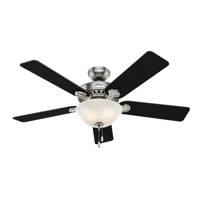 Pros Best Ceiling Fan with Light by Hunter Fan