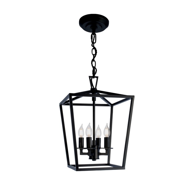 Cage Pendant by Norwell Lighting