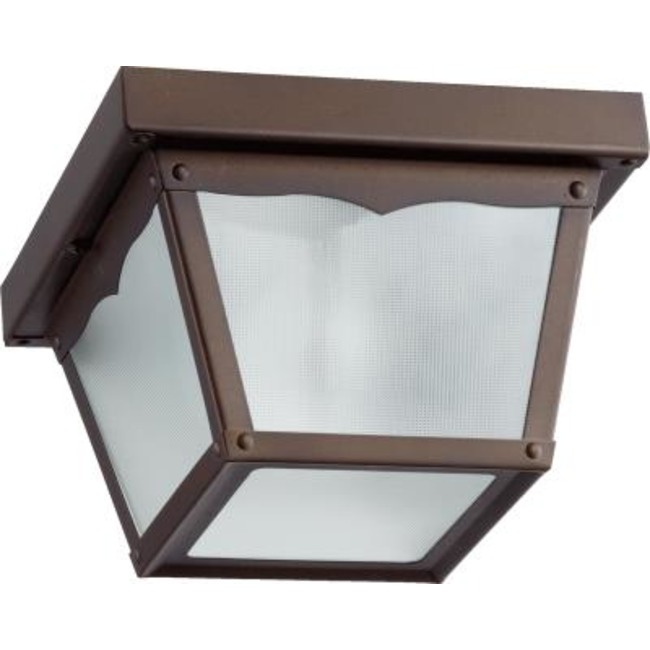 Signature Cage Outdoor Ceiling Light Fixture by Quorum