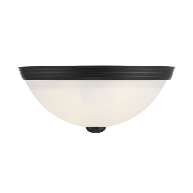 Curved Glass Ceiling Light Fixture by Savoy House