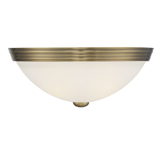 Curved Glass Ceiling Light Fixture by Savoy House