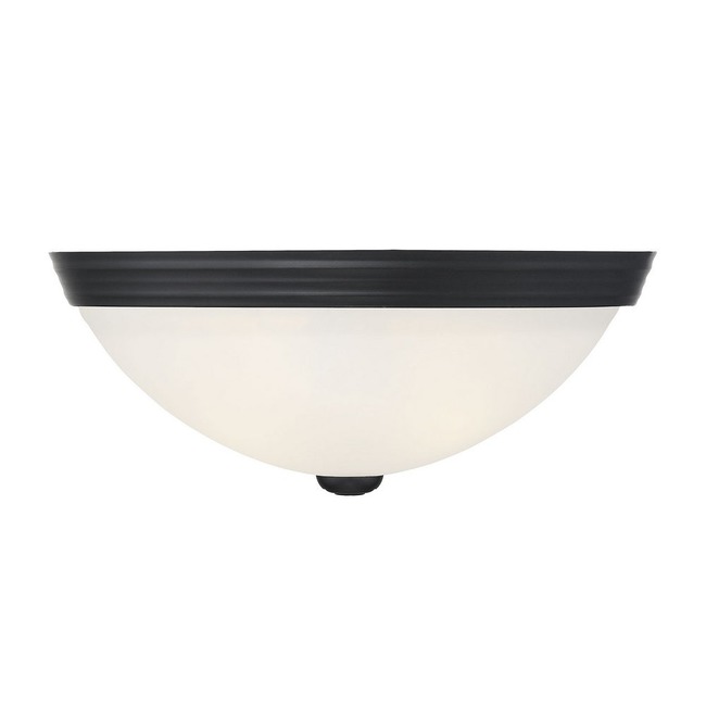 Curved Glass Ceiling Light Fixture by Savoy House