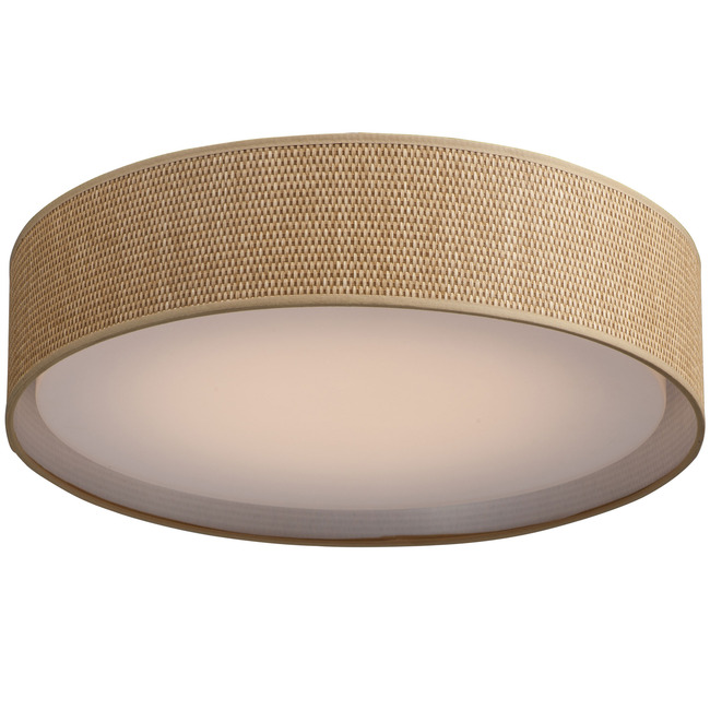 Prime Ceiling Light by Maxim Lighting