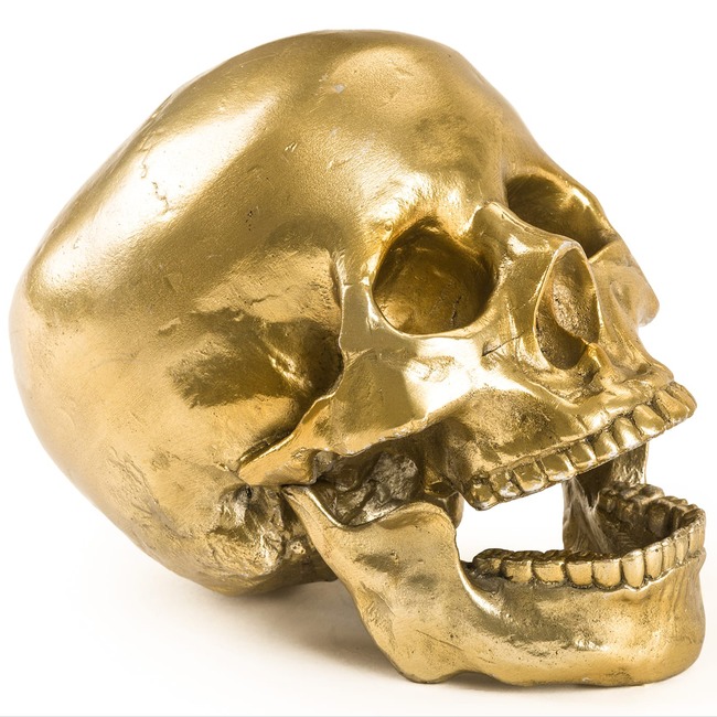 Diesel Wunderkammer Human Skull by Seletti