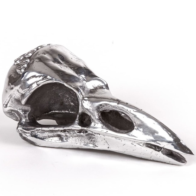 Diesel Wunderkammer Bird Skull by Seletti