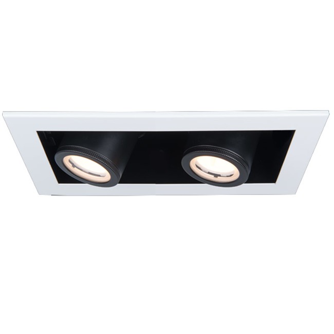 Silo Multiples Adjustable Spot Trim and Housing by WAC Lighting