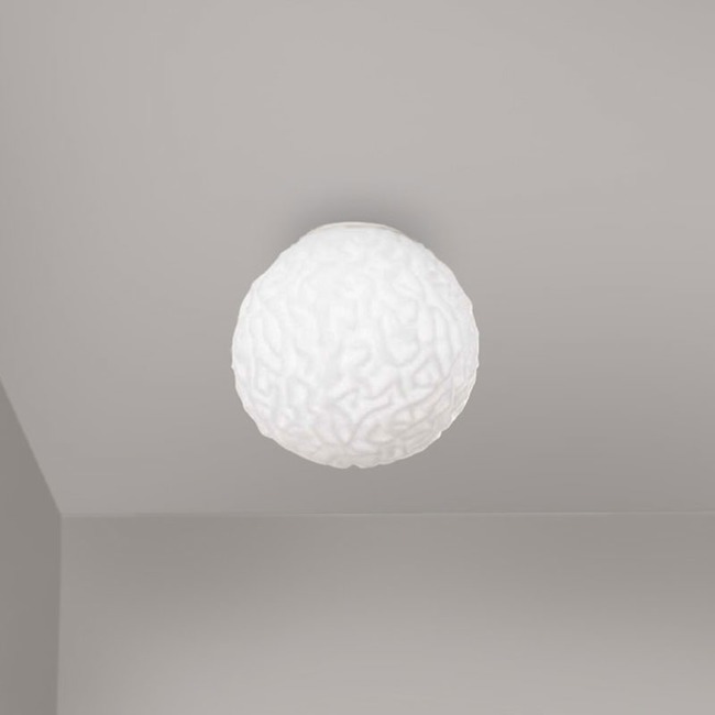 Emisfero Mini Wall / Ceiling Light by ZANEEN design
