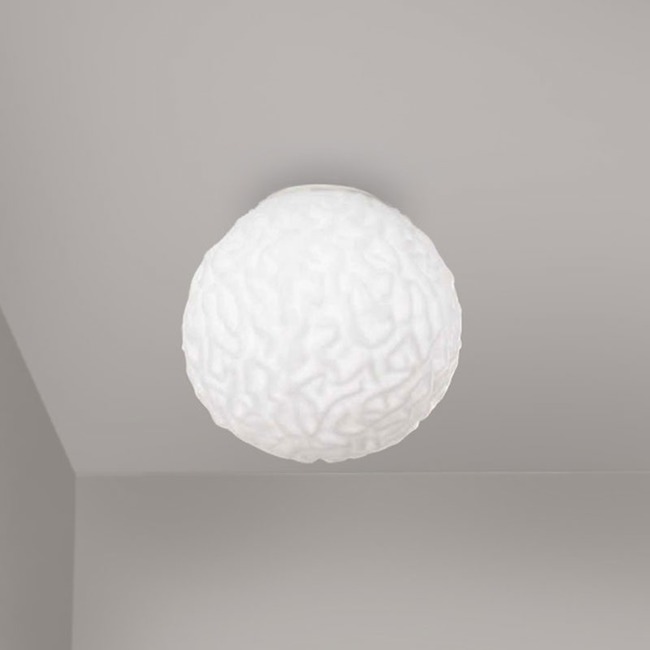 Emisfero Wall / Ceiling Light by ZANEEN design