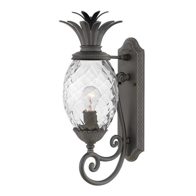 Pineapple 120V Outdoor Wall Sconce by Hinkley Lighting