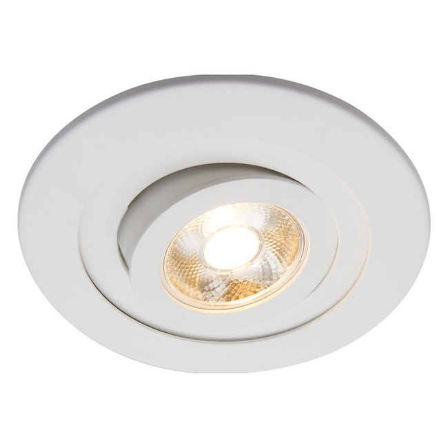 4IN Round Adjustable Trim by Beach Lighting