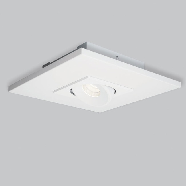Marc Adjustable Ceiling Spot Light by ZANEEN design