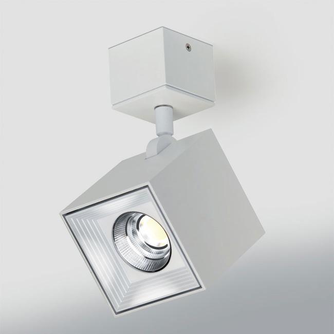 Dau Spot Wall / Ceiling Light by ZANEEN design