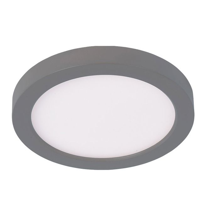 Round 5 Outdoor Ceiling / Wall Light Fixture by WAC Lighting