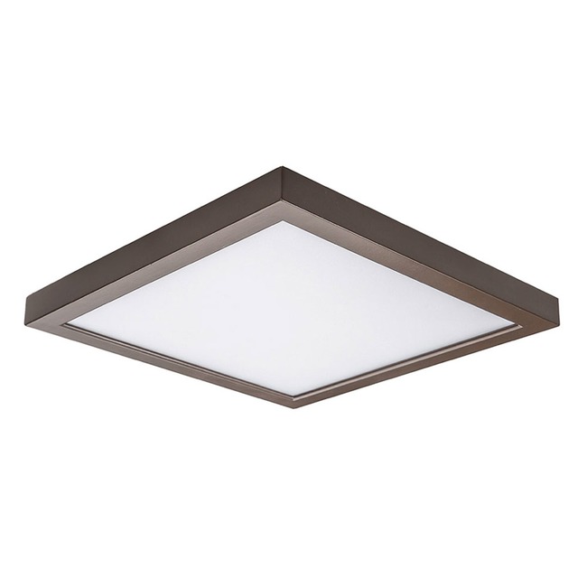 Square 5 Outdoor Ceiling / Wall Light Fixture by WAC Lighting