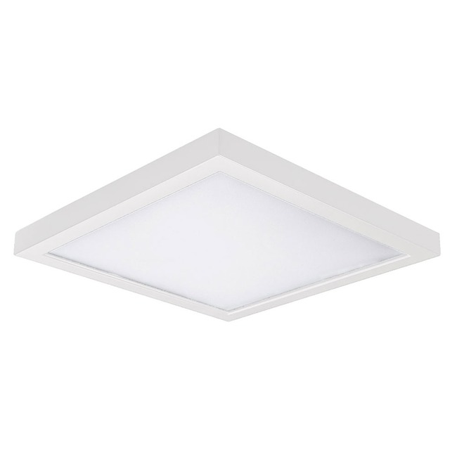 Square 5 Outdoor Ceiling / Wall Light Fixture by WAC Lighting