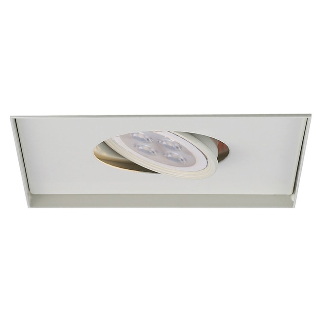 Low Voltage 1-Light Multiple Spot Invisible Trim by WAC Lighting