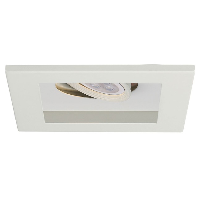 Low Voltage 1-Light Multiple Spot Flanged Trim by WAC Lighting