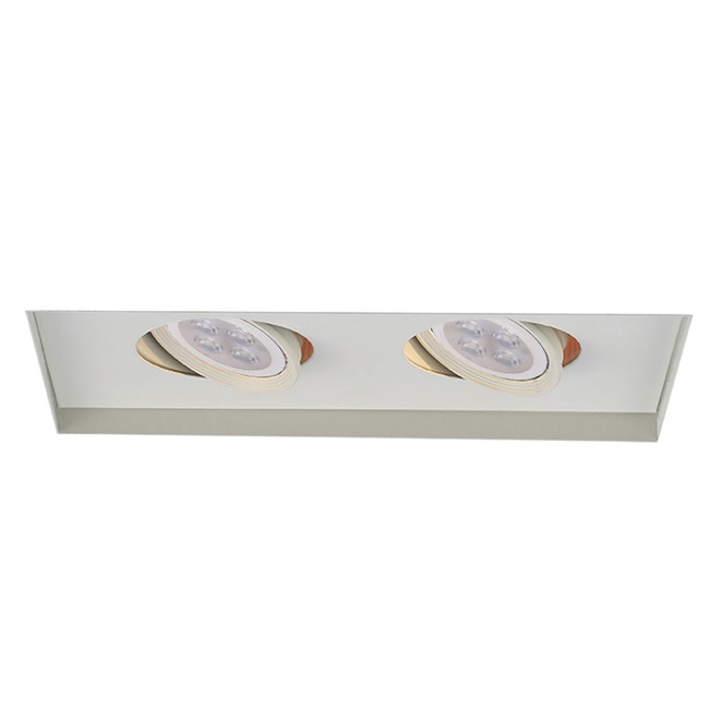 Low Voltage 2-Light Multiple Spot Invisible Trim by WAC Lighting