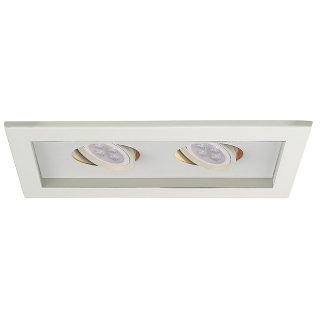 Low Voltage 2-Light Multiple Spot Flanged Trim by WAC Lighting