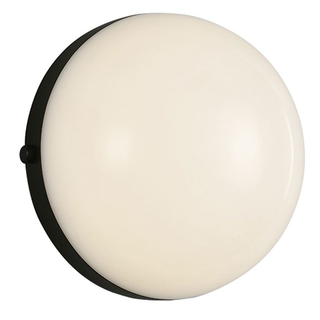 Globo Wall Sconce / Ceiling Flush Light by Alora