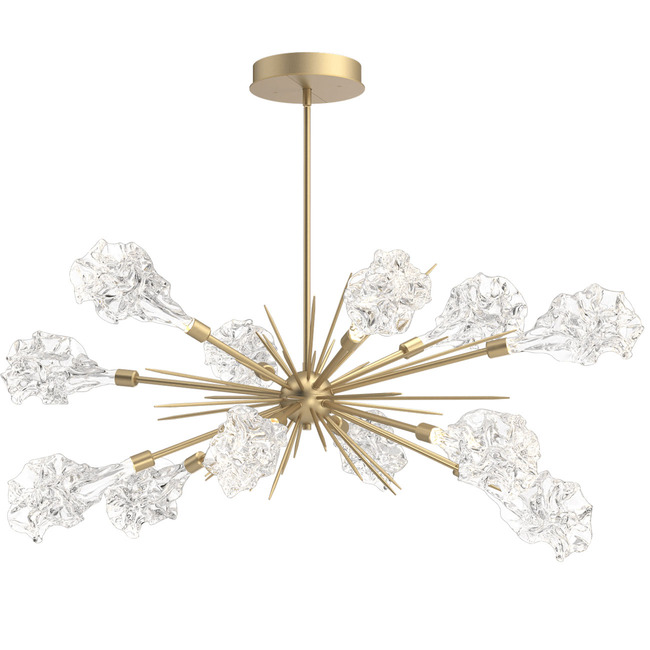 Blossom Oval Starburst Chandelier by Hammerton Studio