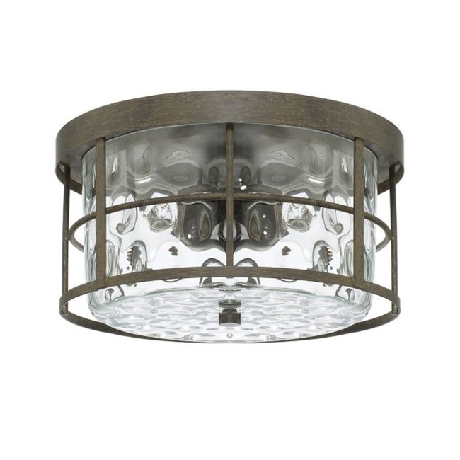 Bristol Ceiling Light by Capital Lighting