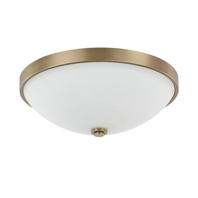 13 Inch Ceiling Light by Capital Lighting