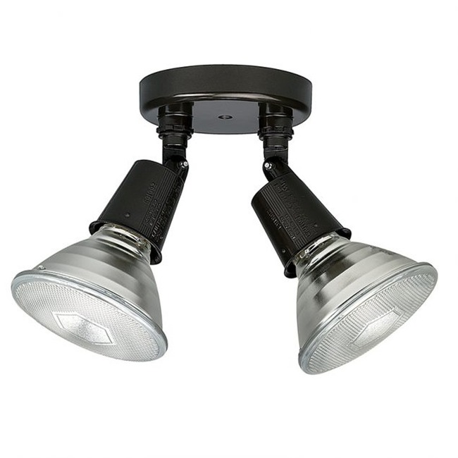 Bronze 2-Lamp Outdoor Floodlight by Capital Lighting