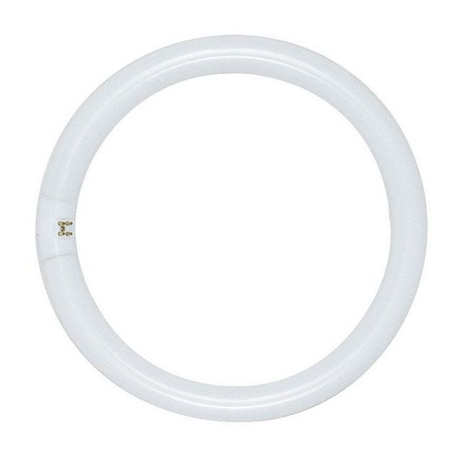 T9 Circline G10q 4-Pin Base 40W 120V 3000K by Raise Lighting