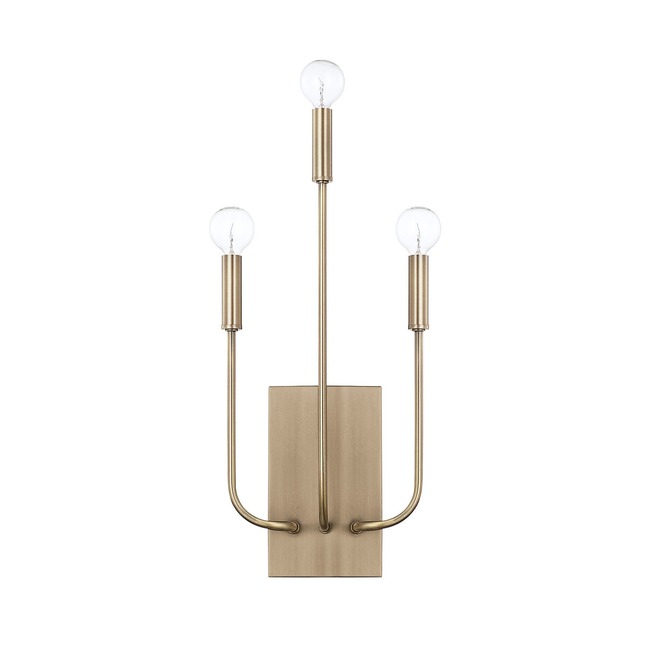 Zander Wall Sconce by Capital Lighting