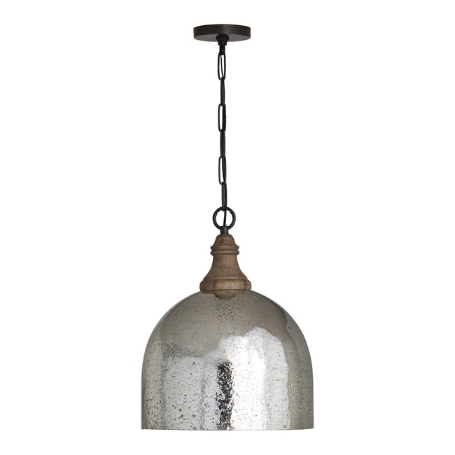 Glass Cloche Pendant by Capital Lighting