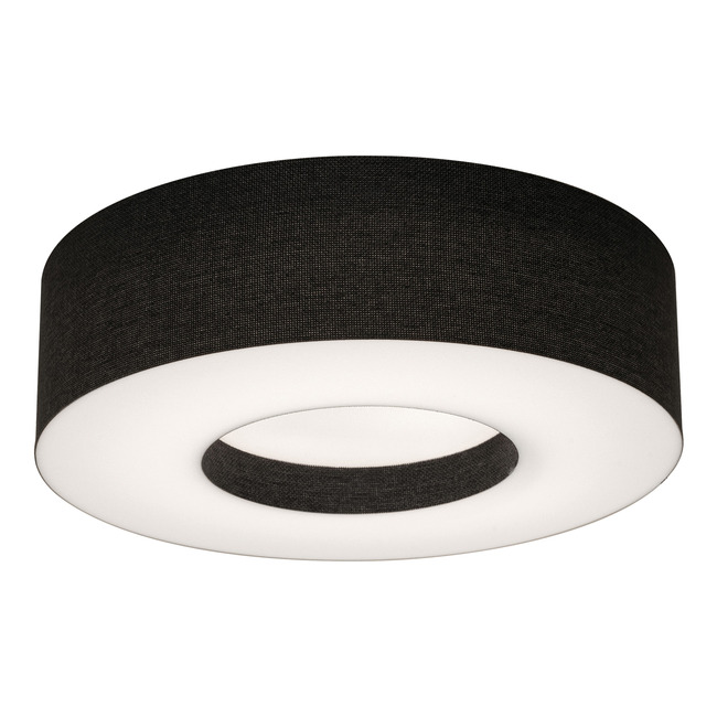 Montclair Ceiling Light by AFX