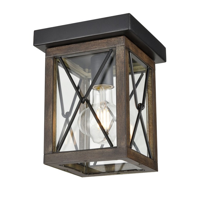 County Fair Outdoor Ceiling Light Fixture by DVI Lighting